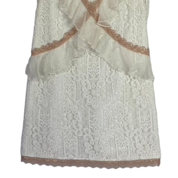 Amur Topeka Lace and Silk Dress - Picture 5 of 14